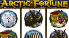 arctic fortune