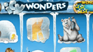 icy wonders